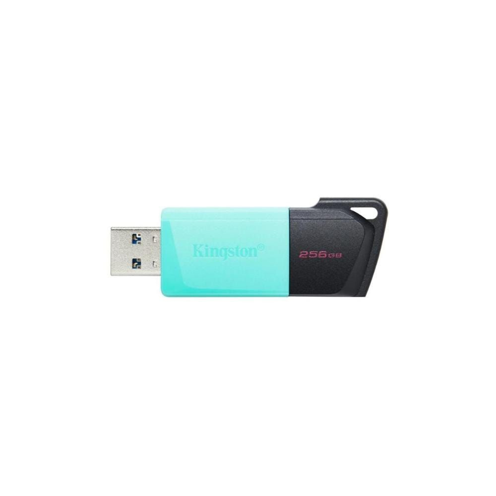 Pen Drive 256 GB Kingston DataTraveler DTXM/256GB USB 3.2 Gen 1 Preto com Verde